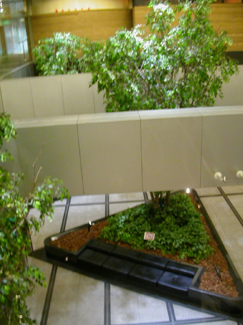 img0149.jpg
